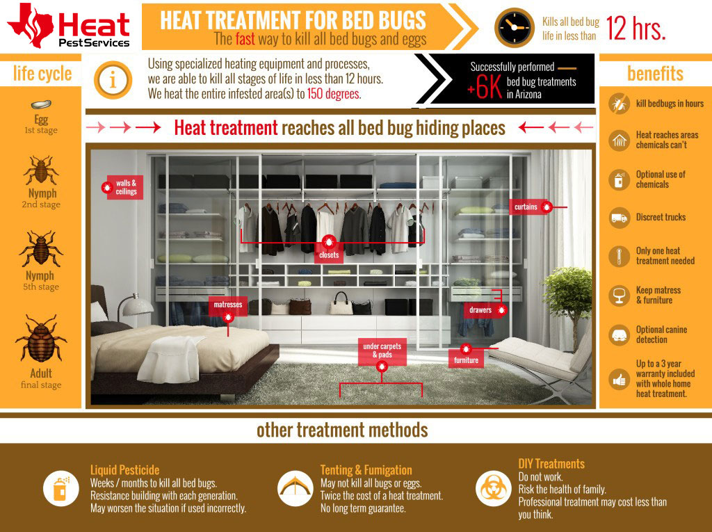 Bed Bug Treatment Infographic
