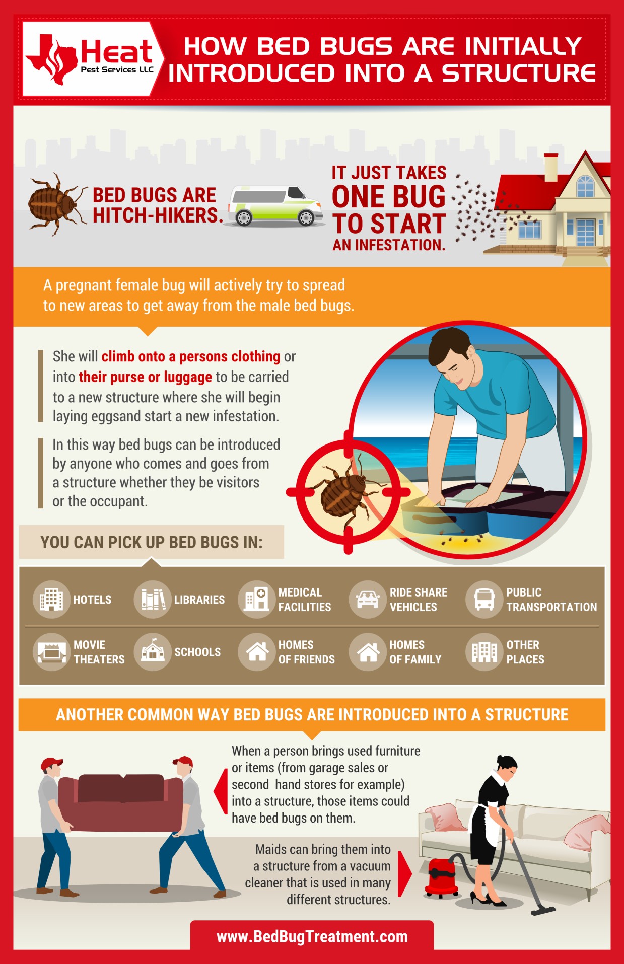 how do you get bed bugs in San Antonio and Austin